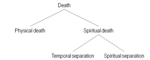 Types of death