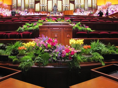 Cannon Conference flowers.jpg