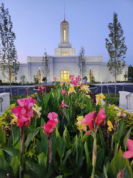 Thumbnail for version as of 17:47, 17 September 2024