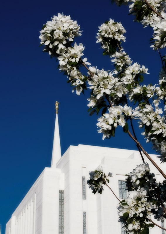 Thumbnail for version as of 17:04, 22 May 2009